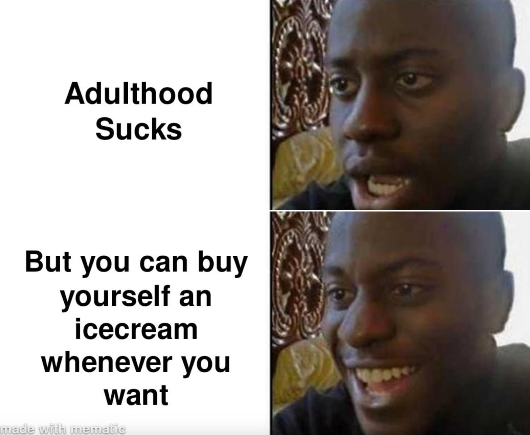 photo caption - Adulthood Sucks But you can buy yourself an icecream whenever you want made with mematic